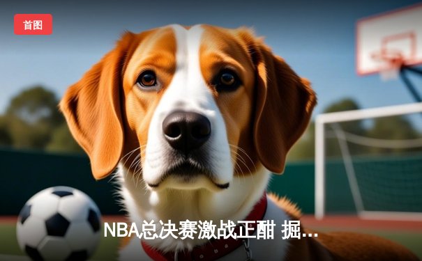 NBA总决赛激战正酣 掘金主场险胜热火夺赛点